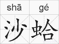 沙蛤的拼音