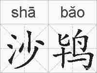 沙鸨的拼音