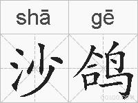 沙鸽的拼音