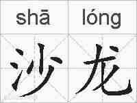 沙龙的拼音
