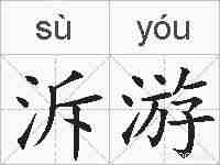 泝游的拼音