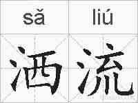 洒流的拼音
