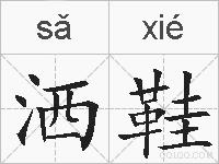 洒鞋的拼音