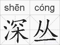 深丛的拼音