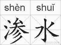 渗水的拼音