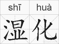 湿化的拼音