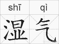 湿气的拼音