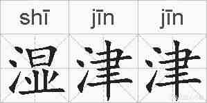湿津津的拼音