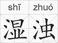 湿浊的拼音