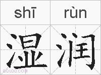湿润的拼音