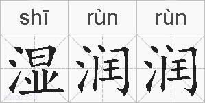 湿润润的拼音