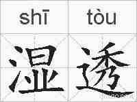 湿透的拼音