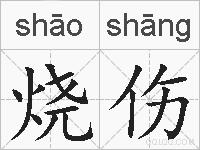 烧伤的拼音