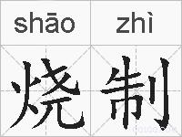烧制的拼音