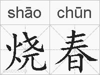烧春的拼音