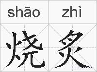 烧炙的拼音