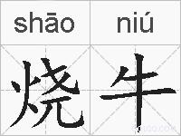 烧牛的拼音