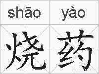 烧药的拼音