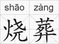 烧葬的拼音
