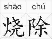 烧除的拼音