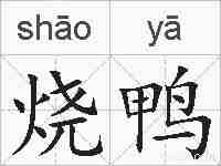 烧鸭的拼音