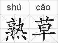 熟草的拼音