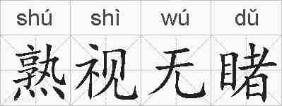 熟视无睹的拼音