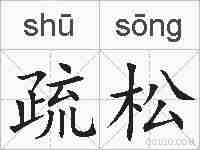 疏松的拼音