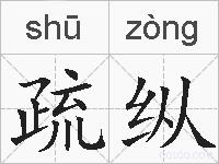 疏纵的拼音