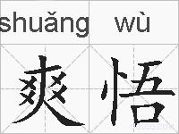 爽悟的拼音