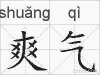 爽气的拼音