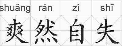 爽然自失的拼音