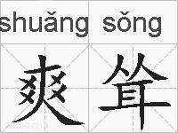爽耸的拼音