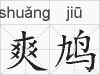 爽鸠的拼音