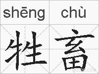 牲畜的拼音