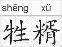 牲糈的拼音