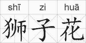 狮子花的拼音