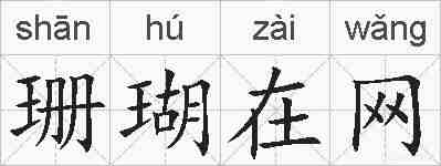 珊瑚在网的拼音