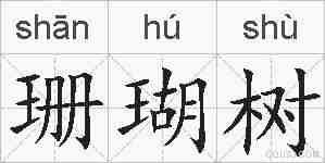 珊瑚树的拼音