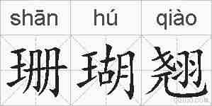 珊瑚翘的拼音
