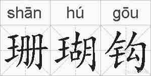 珊瑚钩的拼音