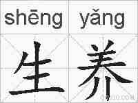 生养的拼音