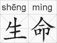 生命的拼音