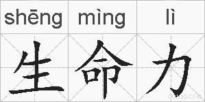 生命力的拼音