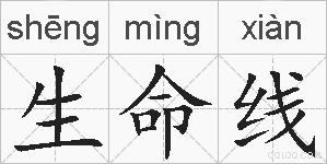 生命线的拼音