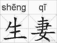 生妻的拼音