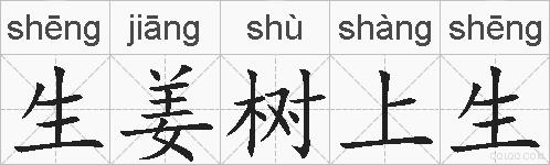 生姜树上生的拼音