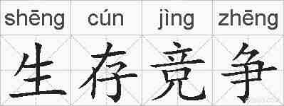 生存竞争的拼音