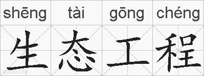 生态工程的拼音
