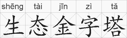 生态金字塔的拼音